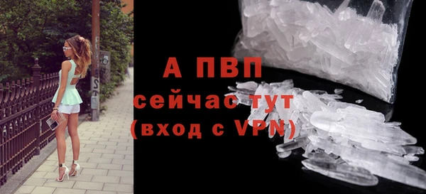 ПСИЛОЦИБИНОВЫЕ ГРИБЫ Ельня