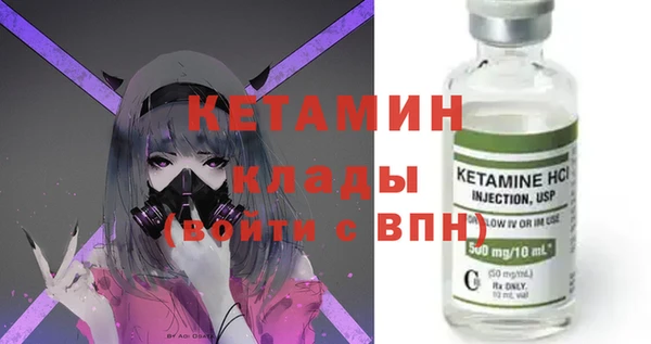 ПСИЛОЦИБИНОВЫЕ ГРИБЫ Ельня