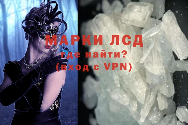 ПСИЛОЦИБИНОВЫЕ ГРИБЫ Ельня
